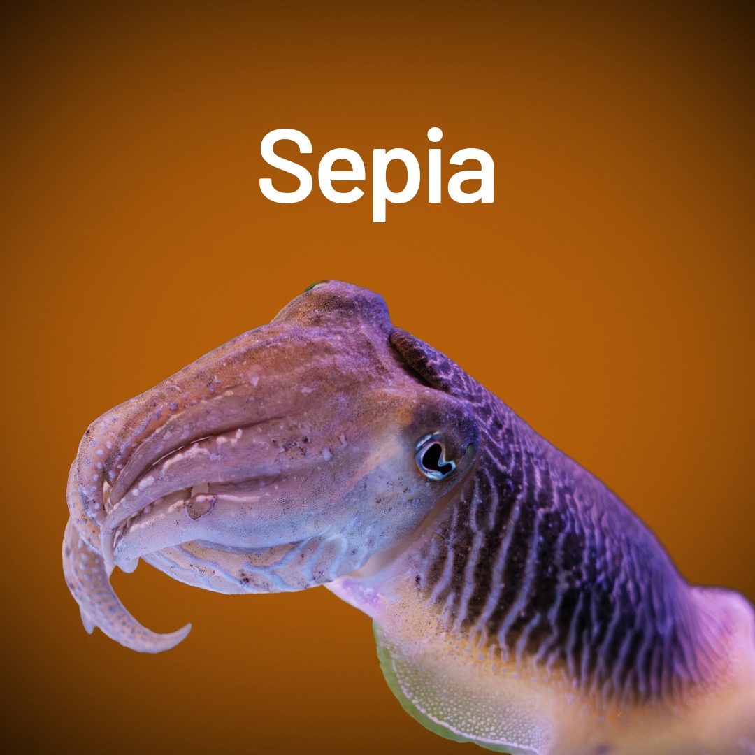Sepia