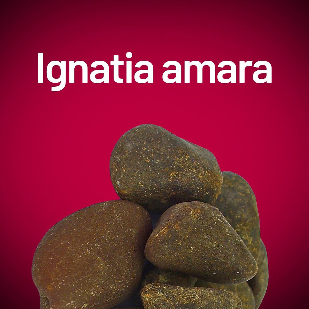 Ignatia amara